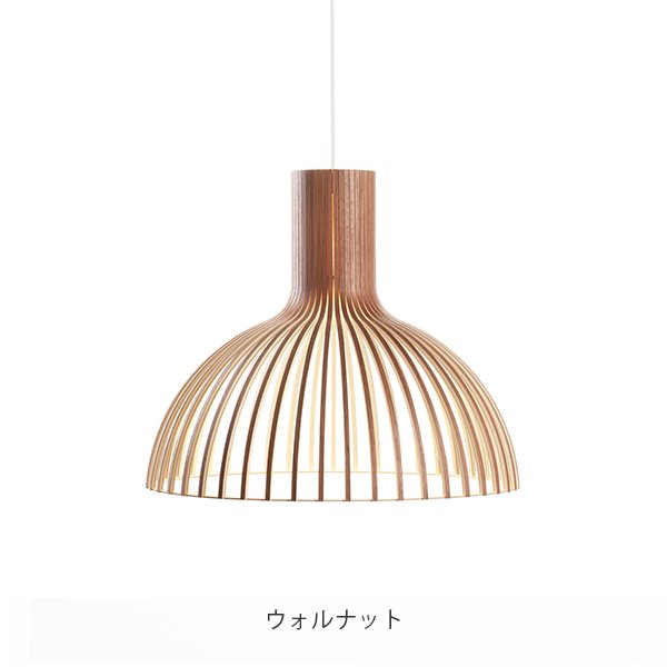 画像5: Victo ヴィクト 4250 (5)